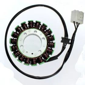 ELECTROSPORT Stator Kawasaki Z / Ninja 1000 10-16
