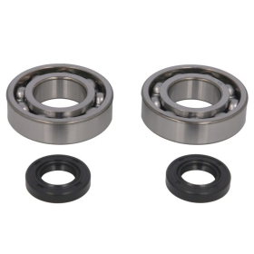 4Ride Crankshaft Bearing Kit GasGas TXT 250-300cc 98-01