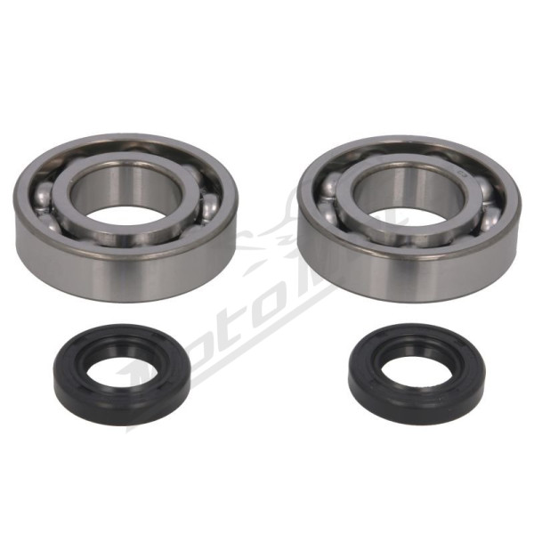 4Ride Crankshaft Bearing Kit GasGas TXT 250-300cc 98-01