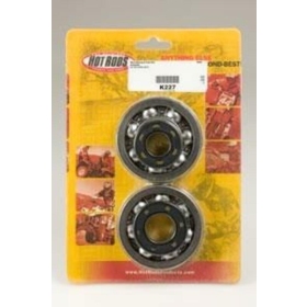 HOT RODS Crankshaft Bearing & Oil Seal Kit KAWASAKI KX 250cc 2002-2008