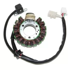 ELECTROSPORT Stator Yamaha YFB 1994-2000