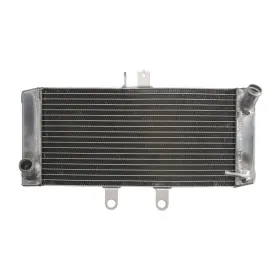 4Ride Radiator SUZUKI GSF 650 07-13