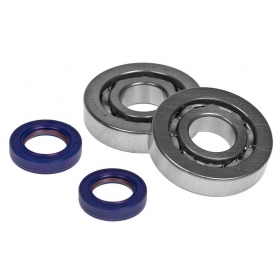 Crankshaft bearing, seals kit POLINI EVO PIAGGIO / GILERA 50 2T