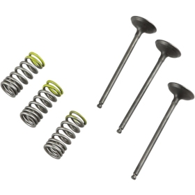 PROX Intake Valve and Spring Kit Gas Gas / Yamaha 250 01-15