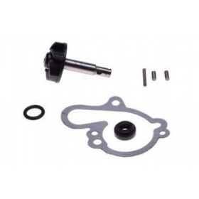 Water pump repair kit MINARELLI/ AM6/ APRILIA/ BETA/ HUSQ./ MBK/ YAMAHA 50cc 95-07