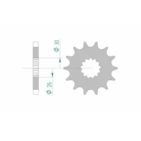 AFAM Steel Standard Front Sprocket 88800 - 530 17-19 teeth TRIUMPH TROPHY / DAYTONA / SPRINT / THUNDERBIRD 750-1050cc 91-21