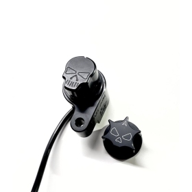 RBW SKULL RBW Skull Harley Davidson FLDE / FLFB / FLHC / FLHR / FLHTK / FLSL / FLTRU / FLTRXS / FXBR / FXSB / FXST 1750-1977 16-26