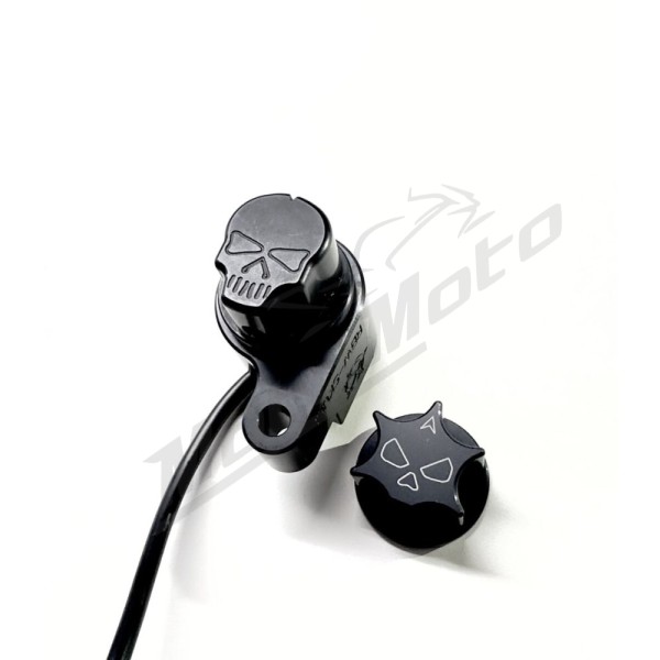 RBW SKULL RBW Skull Harley Davidson FLDE / FLFB / FLHC / FLHR / FLHTK / FLSL / FLTRU / FLTRXS / FXBR / FXSB / FXST 1750-1977 16-26