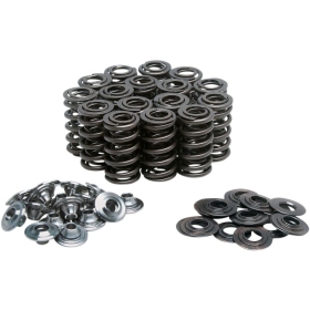 KIBBLEWHITE Racing Spring Kit Suzuki GSX-R 1000 01-04
