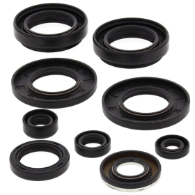 Winderosa (vertex) set (kit) of engine seals Arctic Cat 400-500 96-01