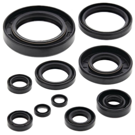 Winderosa (vertex) set (set) of engine seals Yamaha YZ 250 99-00