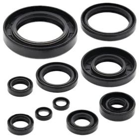 Winderosa (vertex) set (set) of engine seals Yamaha YZ 250 99-00