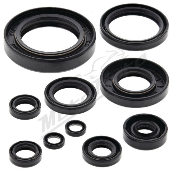 Winderosa (vertex) set (set) of engine seals Yamaha YZ 250 99-00