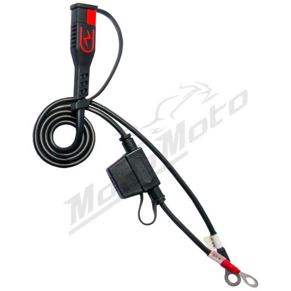 BS BATTERY BS30 Charger UK-Plug 12V 3A