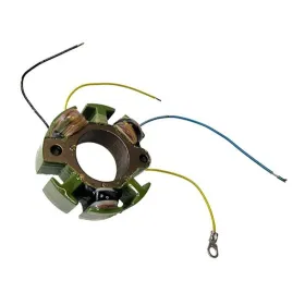 ELECTREX Generatorius Suzuki Rm 250 02-06