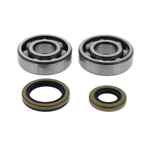 ALL BALLS Crankshaft bearings with seals Gas Gas EC125 13-15
