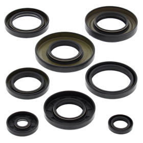 Winderosa (vertex) set (set) of engine seals Yamaha YFM 350 Grizzly / Bruin / Wolverine 04-14