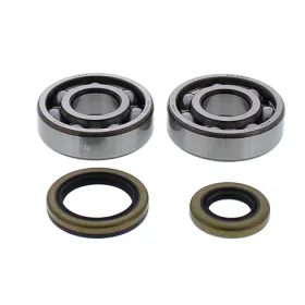 ALL BALLS Crankshaft bearings with seals Gas Gas EC125 13-15