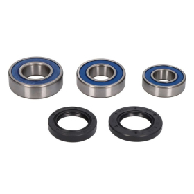 4Ride Rear wheel bearing kit BMW G 310 2018-2019