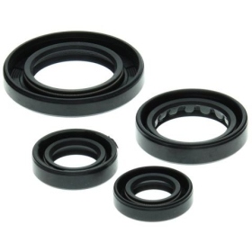 Winderosa (vertex) set of engine seals Honda TRX 250 Recon 97–01
