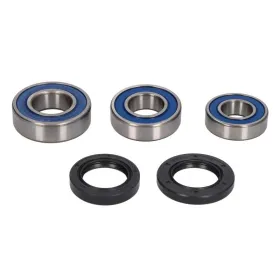 4Ride Rear wheel bearing kit BMW G 310 2018-2019