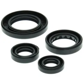 Winderosa (vertex) set of engine seals Honda TRX 250 Recon 97–01