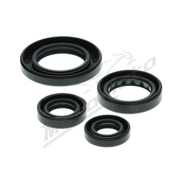 Winderosa (vertex) set of engine seals Honda TRX 250 Recon 97–01