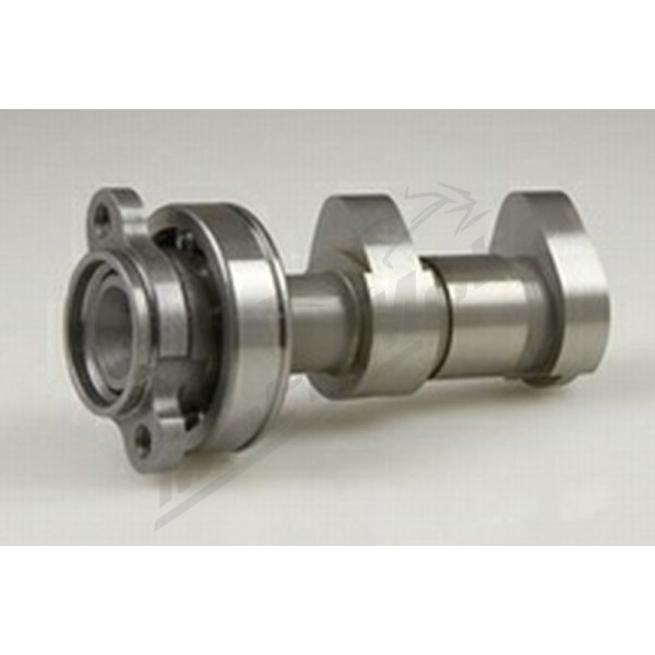 Hot cams camshaft Kawasaki KFX 450 R 08-09