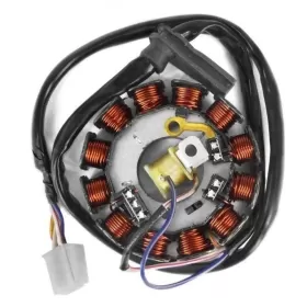 TECNIUM Stator AM6 1990-2024