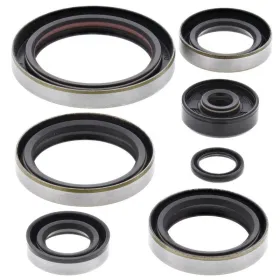 Winderosa (vertex) set (set) of engine seals KTM EXC / SX 250 94-99