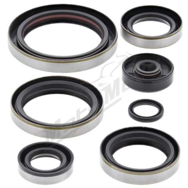 Winderosa (vertex) set (set) of engine seals KTM EXC / SX 250 94-99
