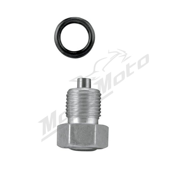 COLONY Oil Drain Plug 1/2" Harley Davidson FLD / FLHR / FLS / FLTR / FXD 1450/1800 99-17