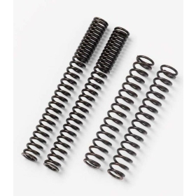 BITUBO FORK SPRINGS FOR Honda CBR600 / CBR600F 01-04