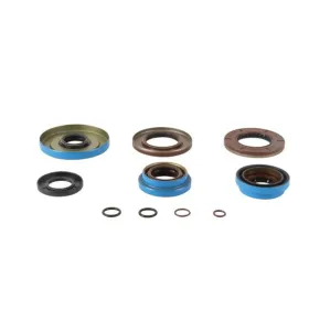 ALL BALLS Rear differential seals Polaris RZR 570-1000 16-20