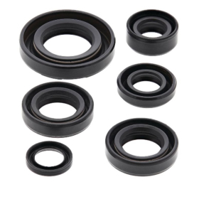 Winderosa (vertex) set (set) of engine seals Kawasaki KDX / Suzuki JR 50 78-06