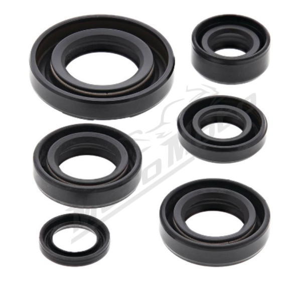 Winderosa (vertex) set (set) of engine seals Kawasaki KDX / Suzuki JR 50 78-06