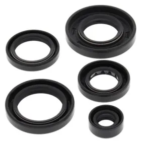 Winderosa (vertex) set of engine seals Kawasaki KX 250 1982
