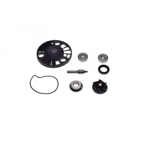 SALES! Water pump repair kit APRILIA ATLANTIC/ PIAGGIO X8/ X9/ VESPA 125-250cc 4T 04-12