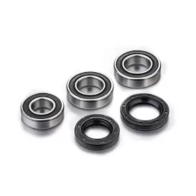 FACTORY LINKS Galinio rato guolių rinkinys GasGas / MUZ / VOR 125-450cc 98-20