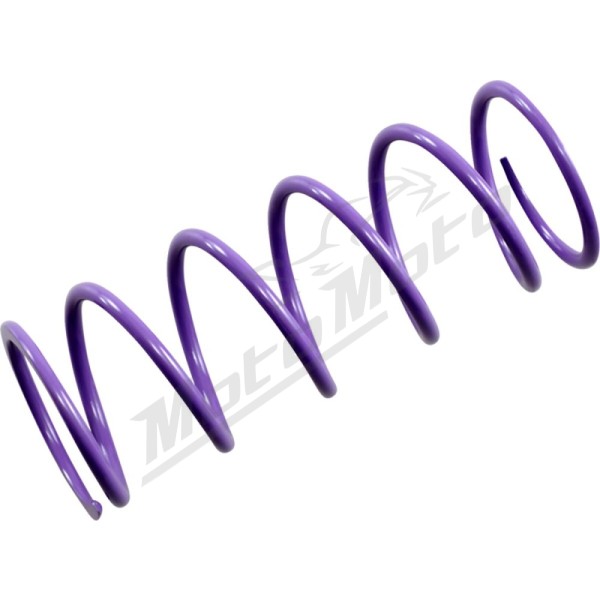 EPI Primary Clutch Spring Polaris 90-2000 85-24