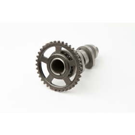 HOT CAMS paskirstymo velenas Stage 1 HM / HONDA 250 10-17