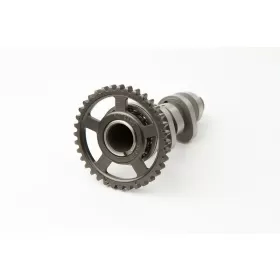 HOT CAMS paskirstymo velenas Stage 1 HM / HONDA 250 10-17