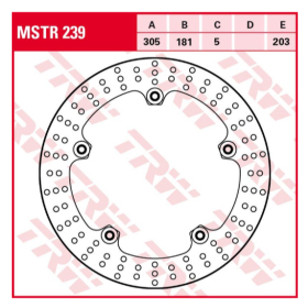 TRW Front Brake Disc BMW R 850-1200cc 99-06