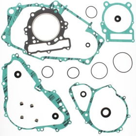Winderosa (vertex) gasket set with engine gaskets Can-Am DS 650 00–07