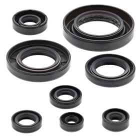 Winderosa (vertex) set of engine seals Honda TRX 420-500 09-19