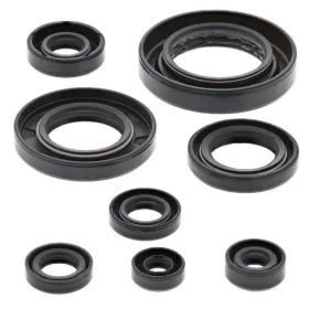 Winderosa (vertex) set of engine seals Honda TRX 420-500 09-19