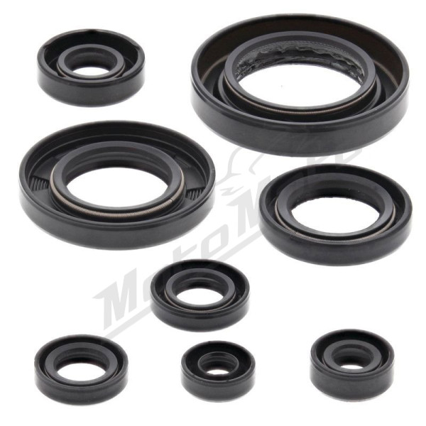Winderosa (vertex) set of engine seals Honda TRX 420-500 09-19