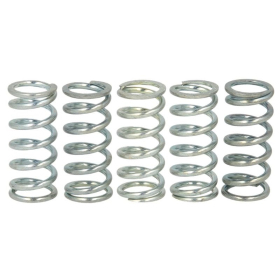 FERODO Clutch Spring Set Aprilia / Derbi / Rieju 50cc 1991-2019