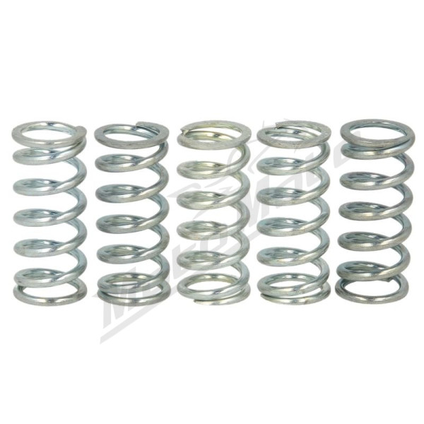 FERODO Clutch Spring Set Aprilia / Derbi / Rieju 50cc 1991-2019