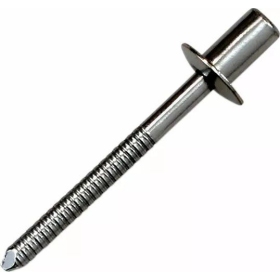 Akrapovic Rivet D4,8x8 1pc